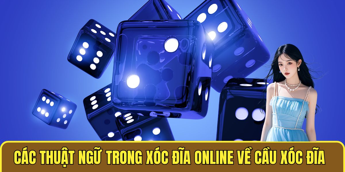 Các thuật ngữ trong xóc đĩa online về cầu xóc đĩa