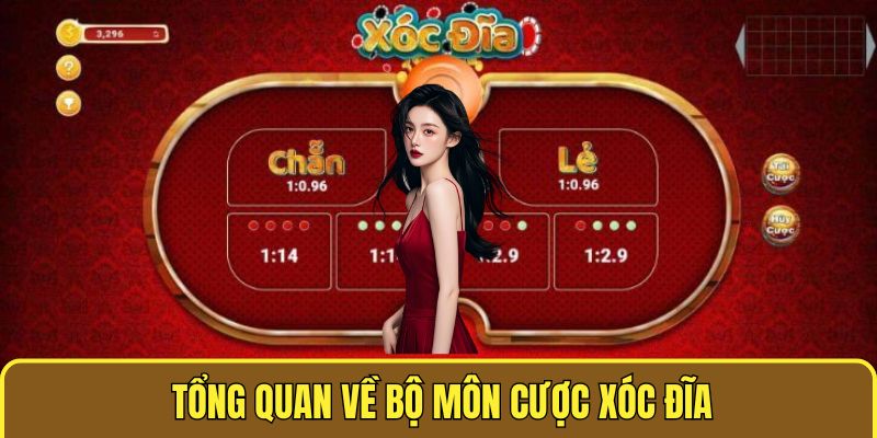 Giới thiệu tổng quan về xóc đĩa