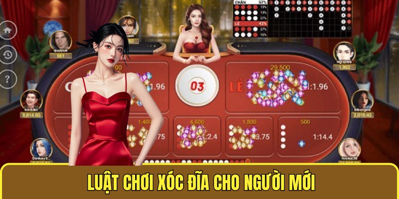 Luật chơi dành cho người mới