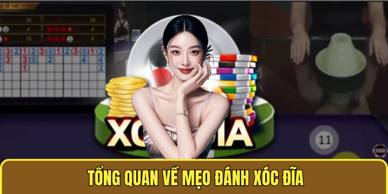 Tổng quan về mẹo soi xóc đĩa