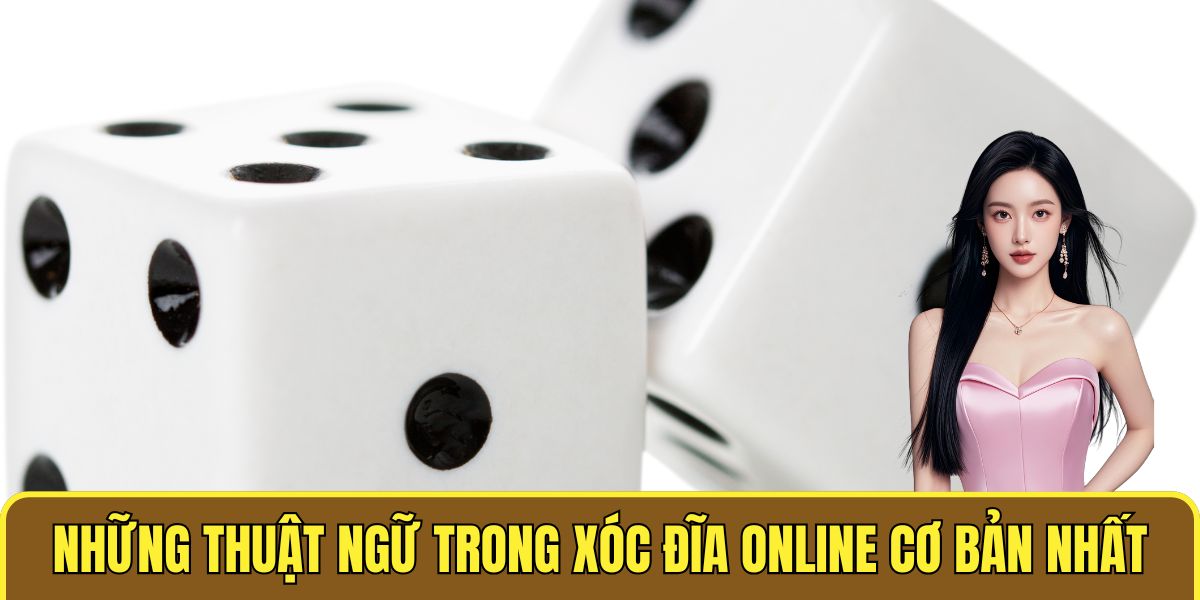 Những thuật ngữ trong xóc đĩa online cơ bản nhất
